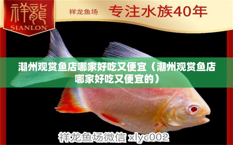 潮州觀賞魚店哪家好吃又便宜（潮州觀賞魚店哪家好吃又便宜的）