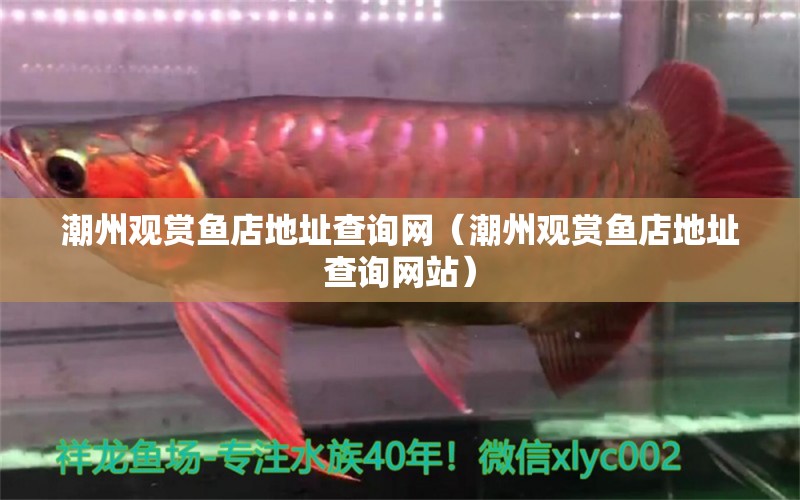 潮州觀賞魚店地址查詢網(wǎng)（潮州觀賞魚店地址查詢網(wǎng)站） 野生地圖魚