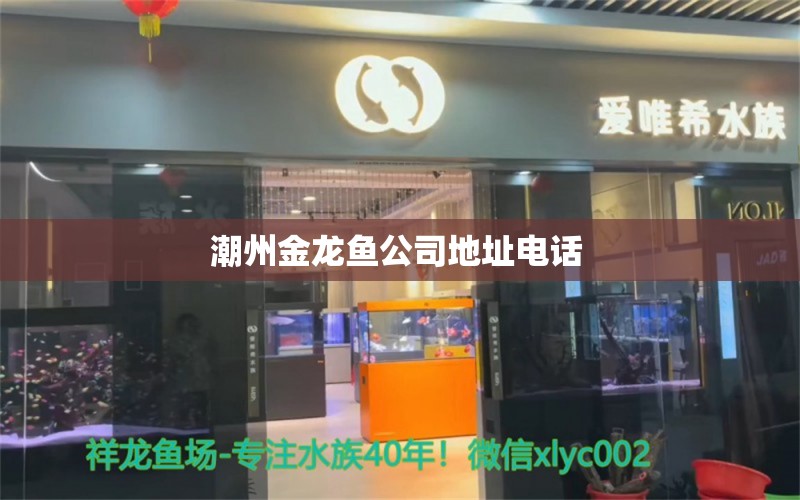 潮州金龍魚公司地址電話 