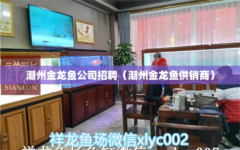 潮州金龍魚公司招聘（潮州金龍魚供銷商）