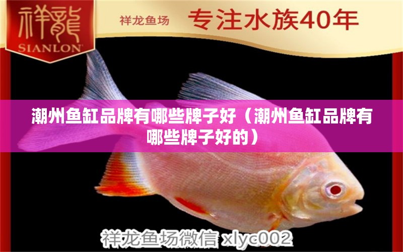 潮州魚缸品牌有哪些牌子好（潮州魚缸品牌有哪些牌子好的）