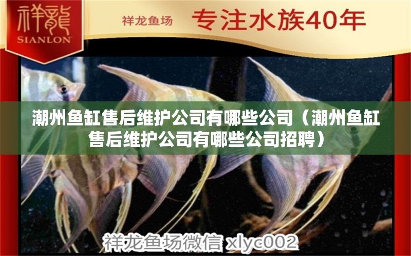 潮州魚缸售后維護(hù)公司有哪些公司（潮州魚缸售后維護(hù)公司有哪些公司招聘）