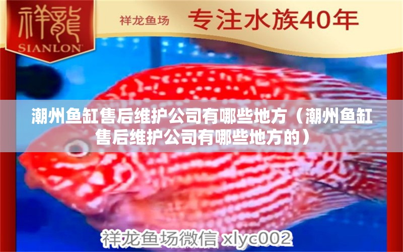 潮州魚缸售后維護(hù)公司有哪些地方（潮州魚缸售后維護(hù)公司有哪些地方的） 其他品牌魚缸