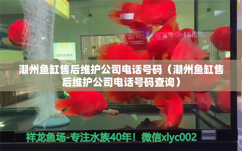 潮州魚缸售后維護公司電話號碼（潮州魚缸售后維護公司電話號碼查詢）