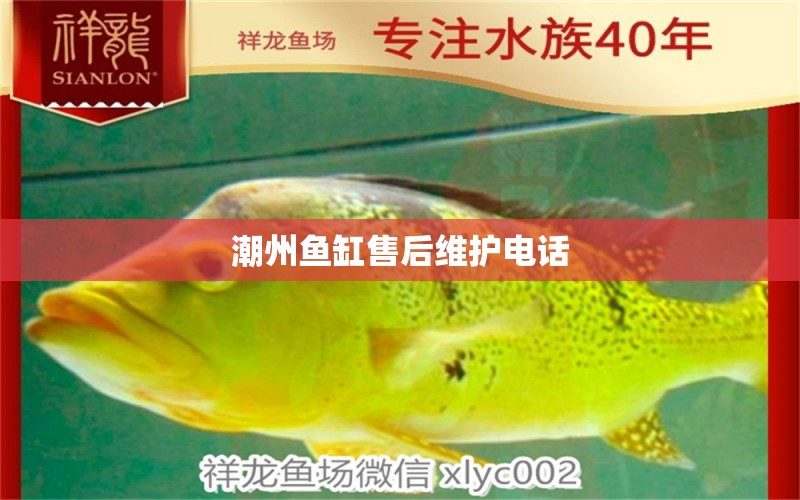 潮州魚缸售后維護(hù)電話 其他品牌魚缸