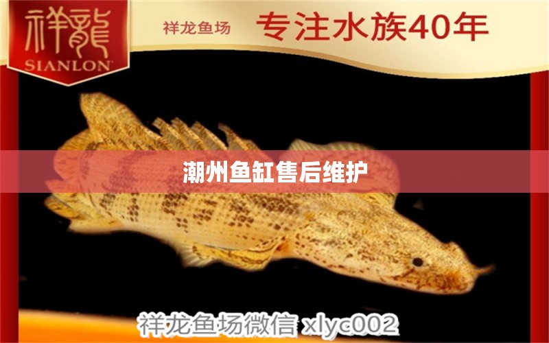 潮州魚缸售后維護