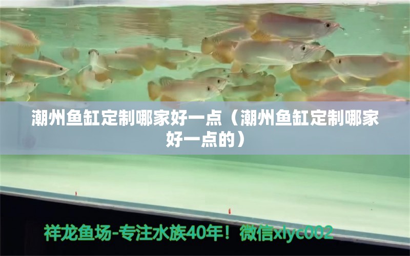 潮州魚缸定制哪家好一點(diǎn)（潮州魚缸定制哪家好一點(diǎn)的）