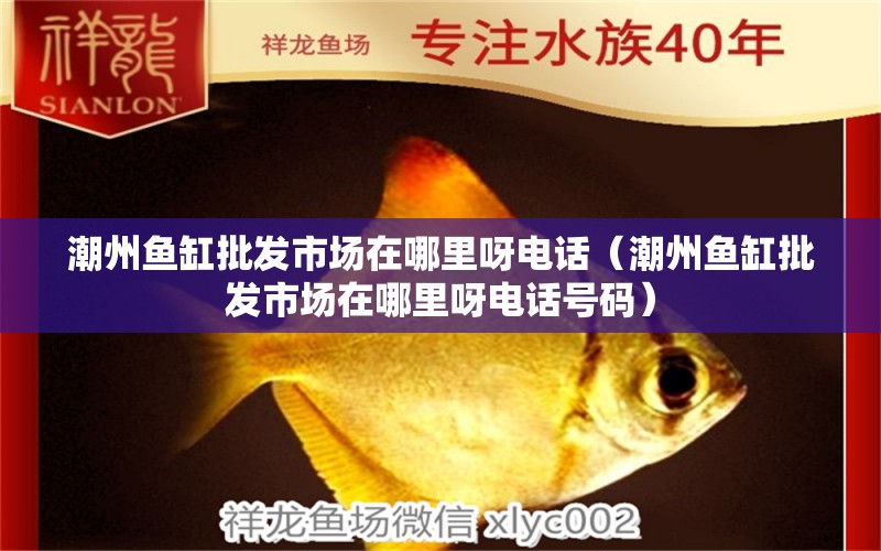 潮州魚缸批發(fā)市場在哪里呀電話（潮州魚缸批發(fā)市場在哪里呀電話號(hào)碼） 其他品牌魚缸