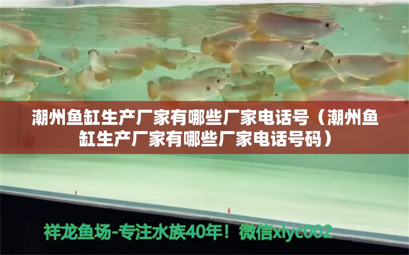 潮州魚缸生產(chǎn)廠家有哪些廠家電話號(hào)（潮州魚缸生產(chǎn)廠家有哪些廠家電話號(hào)碼） 白子銀龍魚苗