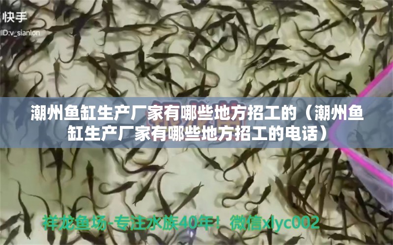 潮州魚缸生產廠家有哪些地方招工的（潮州魚缸生產廠家有哪些地方招工的電話）