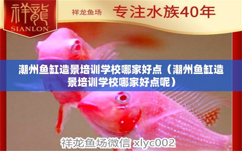 潮州魚(yú)缸造景培訓(xùn)學(xué)校哪家好點(diǎn)（潮州魚(yú)缸造景培訓(xùn)學(xué)校哪家好點(diǎn)呢）