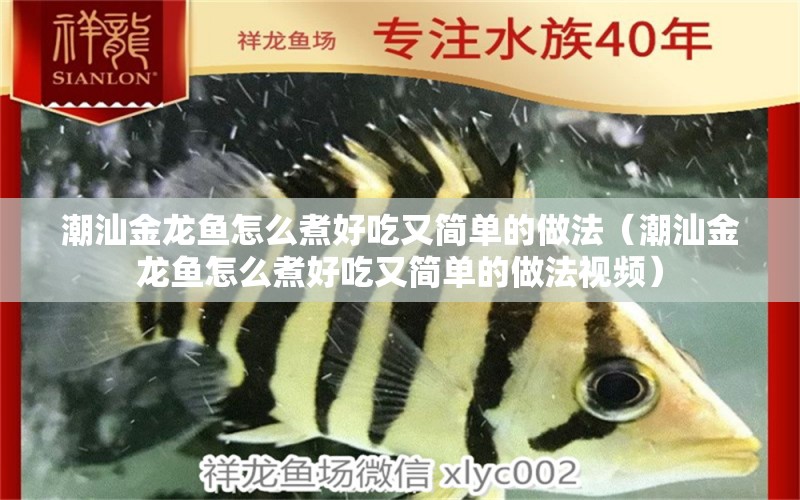 潮汕金龍魚怎么煮好吃又簡單的做法（潮汕金龍魚怎么煮好吃又簡單的做法視頻） 祥龍水族醫(yī)院