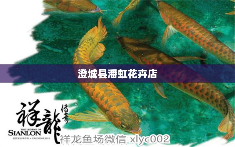 澄城縣潘虹花卉店 全國(guó)水族館企業(yè)名錄