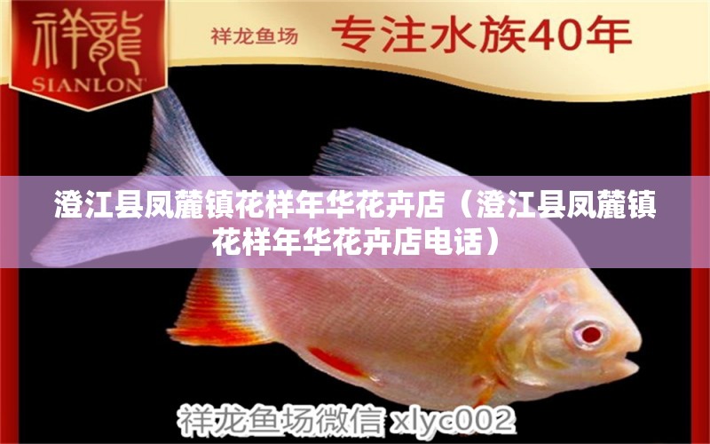 澄江縣鳳麓鎮(zhèn)花樣年華花卉店（澄江縣鳳麓鎮(zhèn)花樣年華花卉店電話）