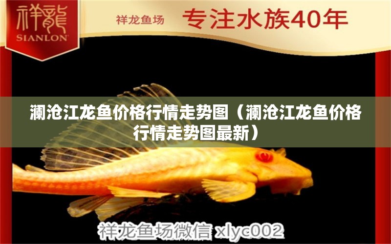 瀾滄江龍魚價(jià)格行情走勢(shì)圖（瀾滄江龍魚價(jià)格行情走勢(shì)圖最新） 祥龍水族醫(yī)院