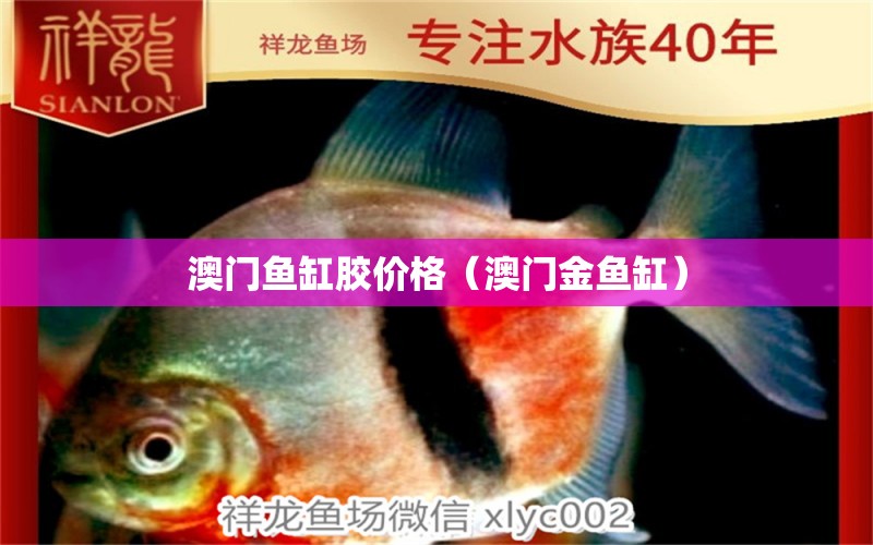 澳門魚缸膠價格（澳門金魚缸） 其他品牌魚缸