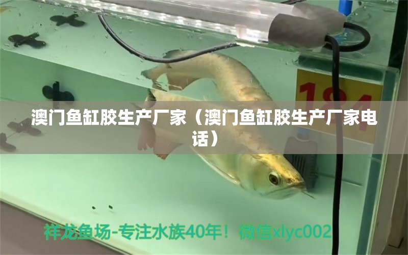 澳門魚缸膠生產(chǎn)廠家（澳門魚缸膠生產(chǎn)廠家電話）