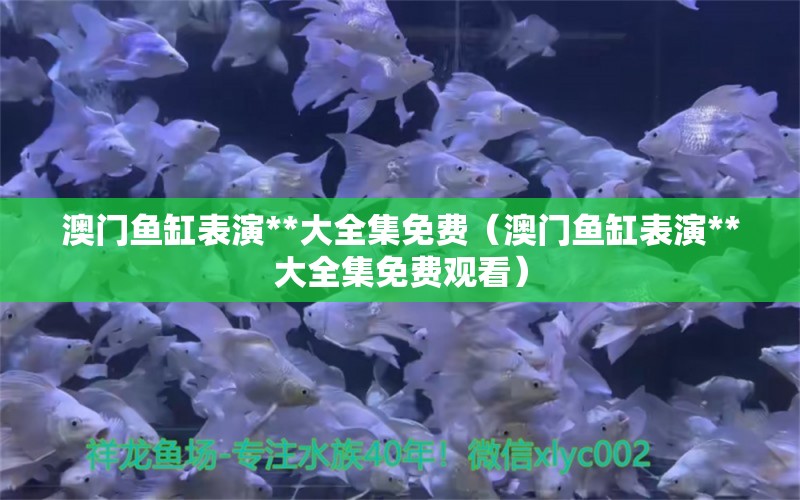 澳門魚缸表演**大全集免費(fèi)（澳門魚缸表演**大全集免費(fèi)觀看）