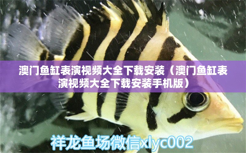 澳門魚缸表演視頻大全下載安裝（澳門魚缸表演視頻大全下載安裝手機(jī)版）