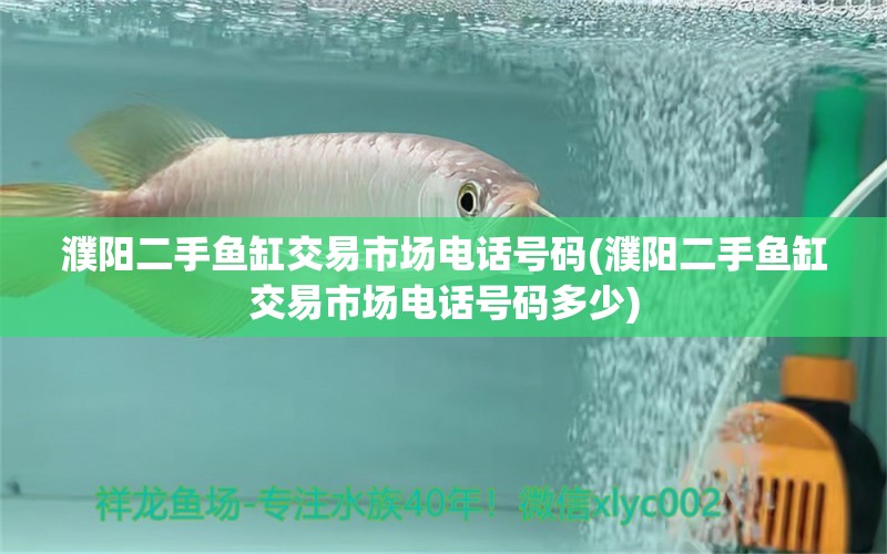 濮陽(yáng)二手魚缸交易市場(chǎng)電話號(hào)碼(濮陽(yáng)二手魚缸交易市場(chǎng)電話號(hào)碼多少)