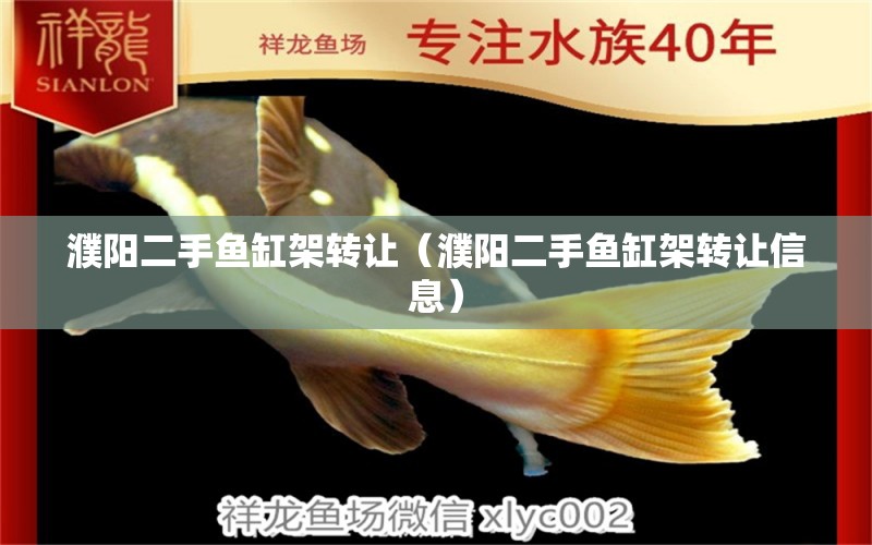 濮陽二手魚缸架轉(zhuǎn)讓（濮陽二手魚缸架轉(zhuǎn)讓信息） 養(yǎng)魚知識