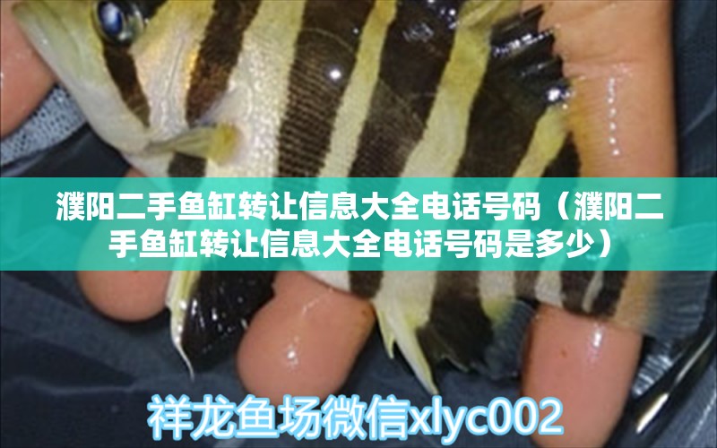 濮陽二手魚缸轉(zhuǎn)讓信息大全電話號碼（濮陽二手魚缸轉(zhuǎn)讓信息大全電話號碼是多少） 觀賞魚市場（混養(yǎng)魚）