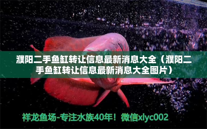 濮陽二手魚缸轉(zhuǎn)讓信息最新消息大全（濮陽二手魚缸轉(zhuǎn)讓信息最新消息大全圖片） 觀賞魚市場（混養(yǎng)魚）