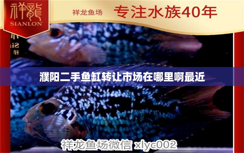 濮陽二手魚缸轉(zhuǎn)讓市場在哪里啊最近 祥龍魚場