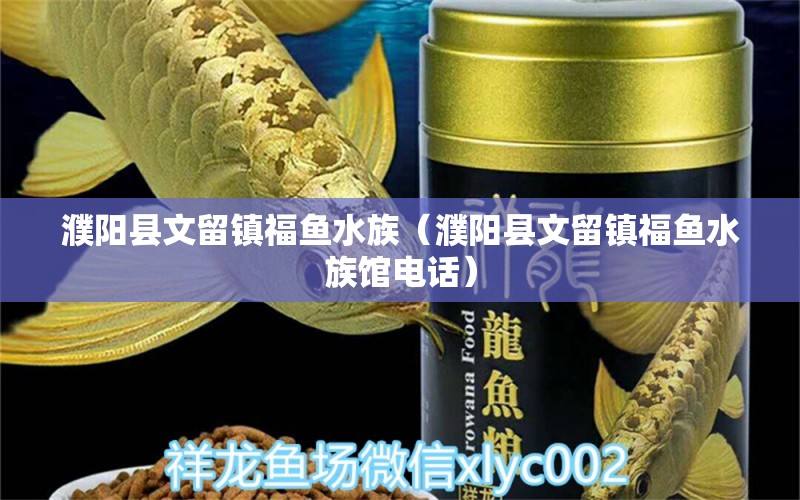 濮陽縣文留鎮(zhèn)福魚水族（濮陽縣文留鎮(zhèn)福魚水族館電話） 全國水族館企業(yè)名錄