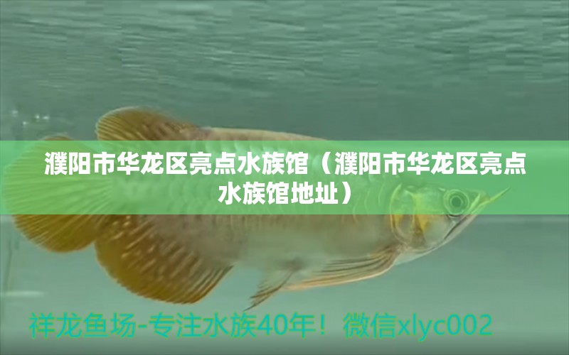 濮陽市華龍區(qū)亮點水族館（濮陽市華龍區(qū)亮點水族館地址）