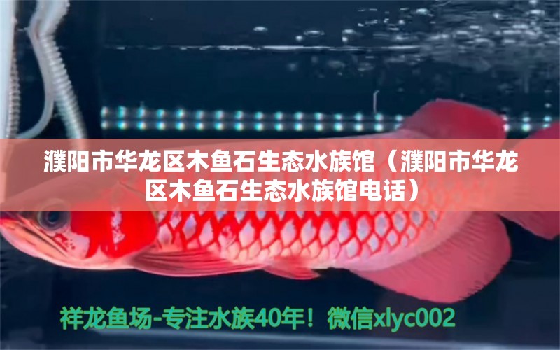 濮陽(yáng)市華龍區(qū)木魚(yú)石生態(tài)水族館（濮陽(yáng)市華龍區(qū)木魚(yú)石生態(tài)水族館電話） 全國(guó)水族館企業(yè)名錄