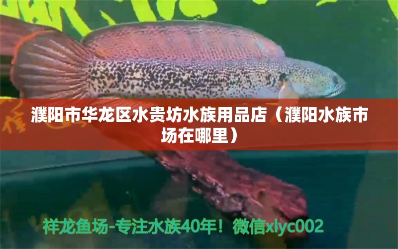 濮陽市華龍區(qū)水貴坊水族用品店（濮陽水族市場在哪里）