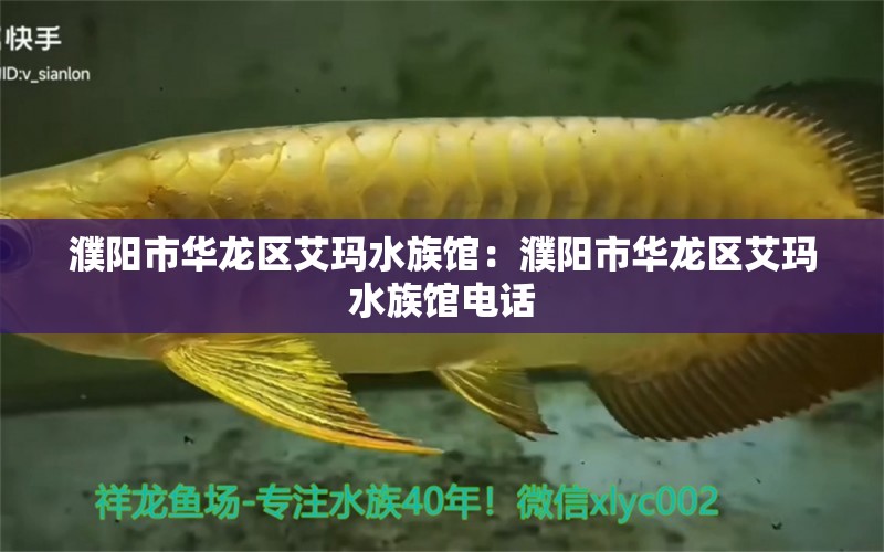 濮陽市華龍區(qū)艾瑪水族館：濮陽市華龍區(qū)艾瑪水族館電話