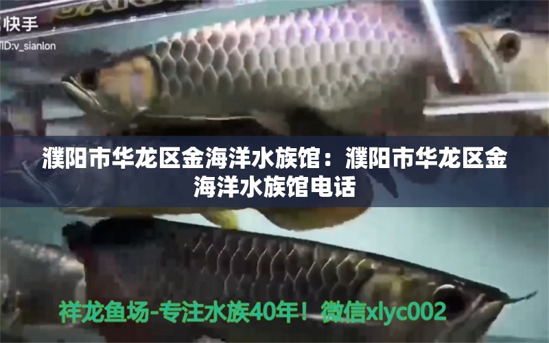 濮陽市華龍區(qū)金海洋水族館：濮陽市華龍區(qū)金海洋水族館電話