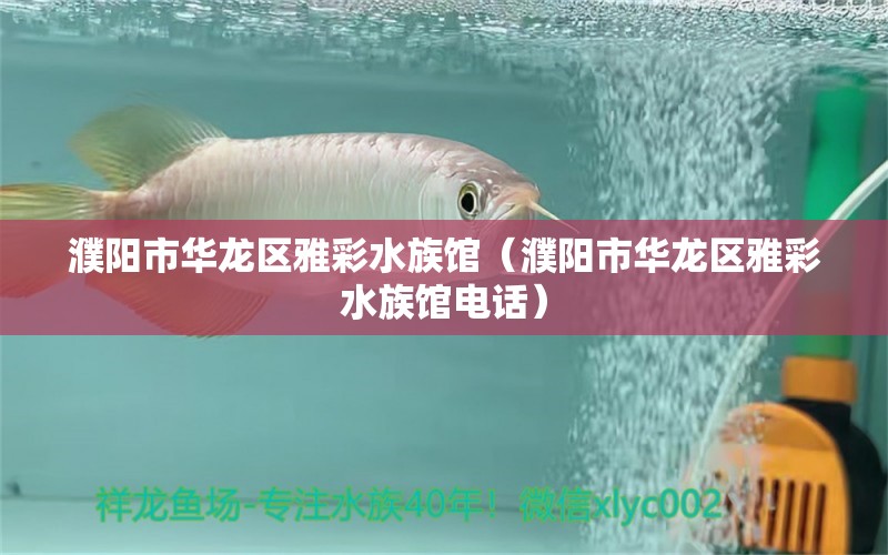 濮陽(yáng)市華龍區(qū)雅彩水族館（濮陽(yáng)市華龍區(qū)雅彩水族館電話）