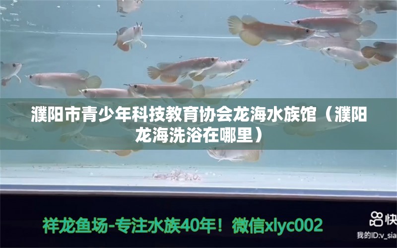 濮陽市青少年科技教育協(xié)會(huì)龍海水族館（濮陽龍海洗浴在哪里）