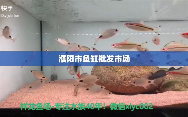 濮陽(yáng)市魚(yú)缸批發(fā)市場(chǎng) 其他品牌魚(yú)缸