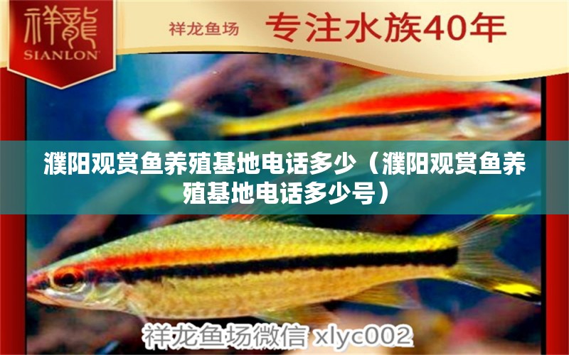 濮陽觀賞魚養(yǎng)殖基地電話多少（濮陽觀賞魚養(yǎng)殖基地電話多少號） 祥龍水族醫(yī)院