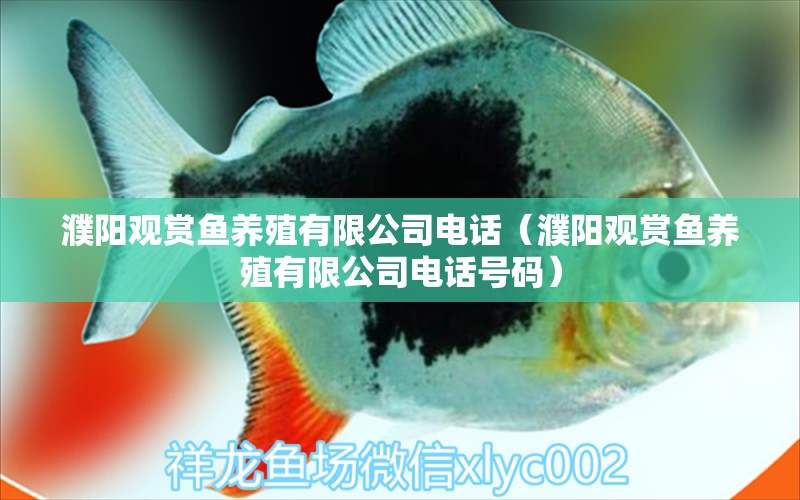 濮陽(yáng)觀賞魚養(yǎng)殖有限公司電話（濮陽(yáng)觀賞魚養(yǎng)殖有限公司電話號(hào)碼）