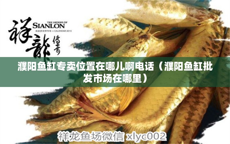 濮陽魚缸專賣位置在哪兒啊電話（濮陽魚缸批發(fā)市場在哪里） 飛鳳魚