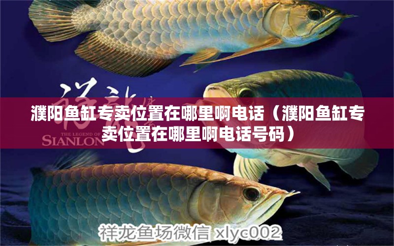 濮陽(yáng)魚(yú)缸專賣位置在哪里啊電話（濮陽(yáng)魚(yú)缸專賣位置在哪里啊電話號(hào)碼）