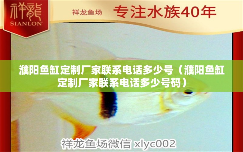 濮陽魚缸定制廠家聯系電話多少號（濮陽魚缸定制廠家聯系電話多少號碼） 南美異型魚