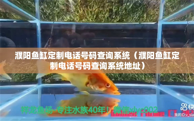 濮陽(yáng)魚(yú)缸定制電話號(hào)碼查詢系統(tǒng)（濮陽(yáng)魚(yú)缸定制電話號(hào)碼查詢系統(tǒng)地址） 祥龍水族醫(yī)院