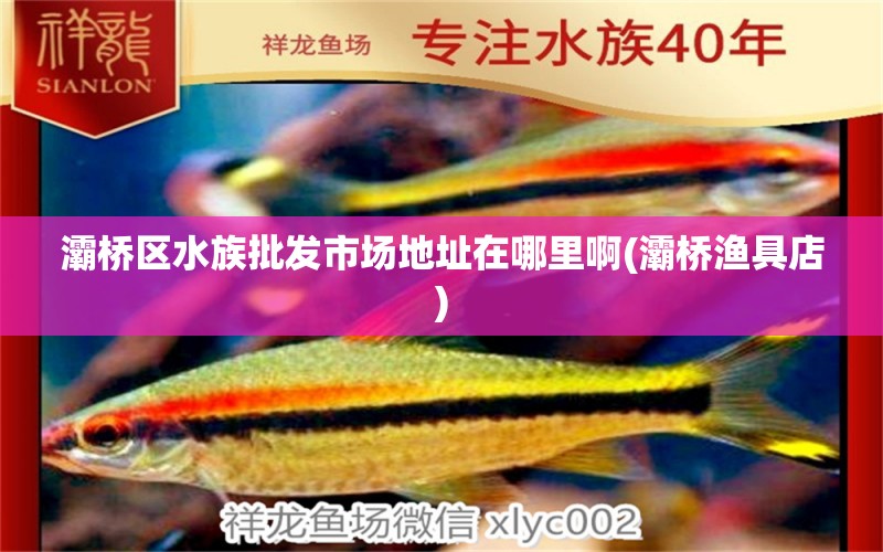 灞橋區(qū)水族批發(fā)市場地址在哪里啊(灞橋漁具店) 觀賞魚水族批發(fā)市場