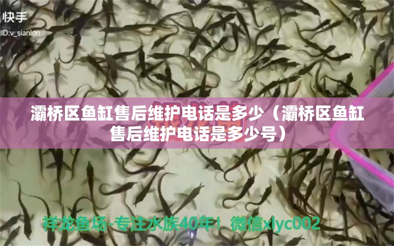 灞橋區(qū)魚(yú)缸售后維護(hù)電話是多少（灞橋區(qū)魚(yú)缸售后維護(hù)電話是多少號(hào)）