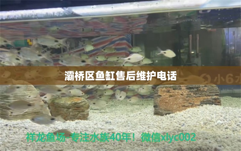 灞橋區(qū)魚(yú)缸售后維護(hù)電話