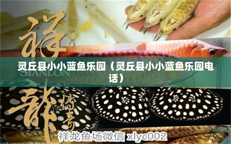 靈丘縣小小藍(lán)魚(yú)樂(lè)園（靈丘縣小小藍(lán)魚(yú)樂(lè)園電話）