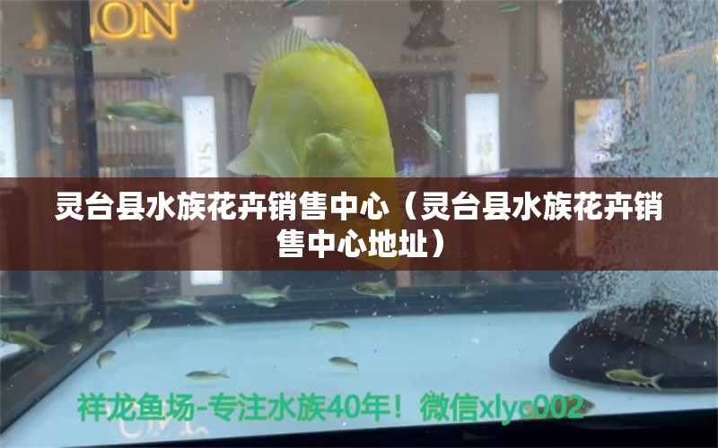 靈臺縣水族花卉銷售中心（靈臺縣水族花卉銷售中心地址）