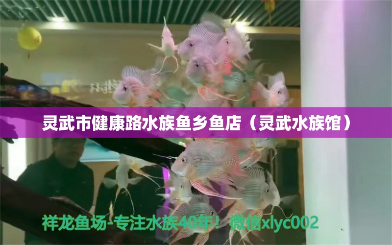 靈武市健康路水族魚(yú)鄉(xiāng)魚(yú)店（靈武水族館）