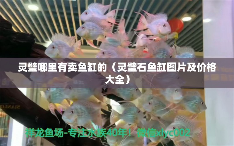 靈璧哪里有賣魚缸的（靈璧石魚缸圖片及價格大全）